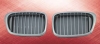 Grille