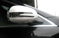 Door Mirror Cover W/light (arrow type) + Manner Light