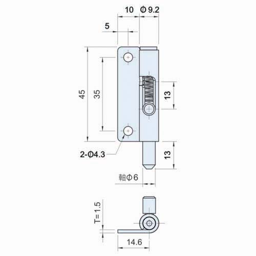 Concealed, Removable Hinge