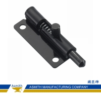 Concealed, Removable Hinge Concealed, Removable Hinge