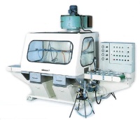 AUTOMATIC MOULDING PAINTING  MACHINE FOR