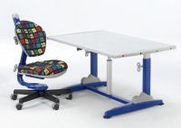 Height Adjustable Desk + Swivel Chair