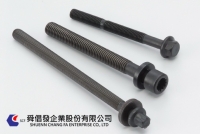 Automotive Screw_SEMS