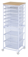 9-Tier Storage Rack (With 6 Shallow Iron Mesh Baskets + 3 Tall Iron Mesh Baskets)
