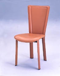 Dinning Chairs