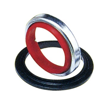 Oil Seals