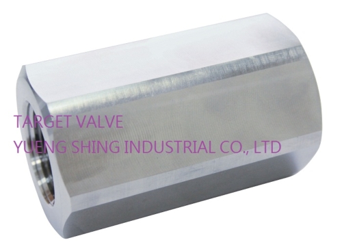 1-PC HIGH PRESSURE CHECK VALVE