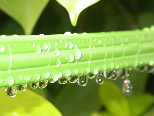 Garden Flat Weeping Hose Garden Flat Weeping Hose