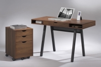 writing Desks/Computer desk/moveable file cabinet