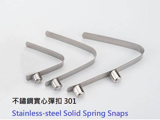 Stainless-steel Solid Spring Snaps