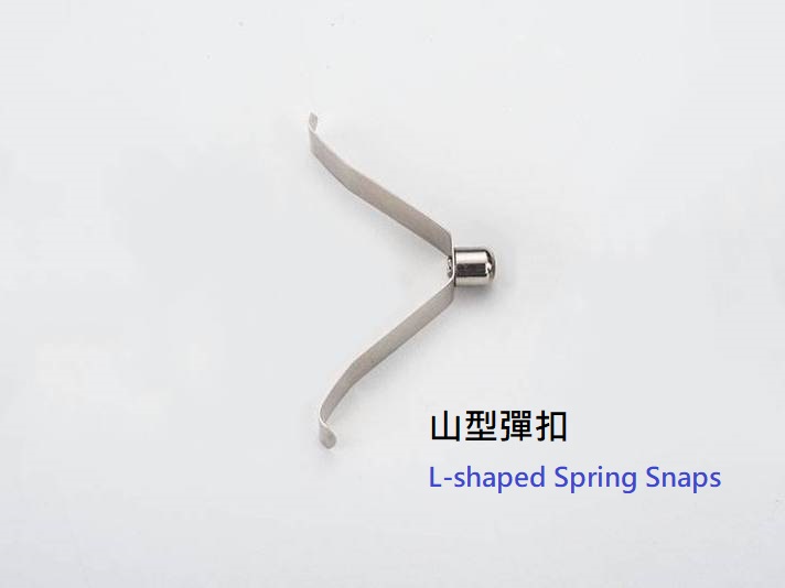 L-shaped Spring Snaps