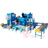 Fully Auto Carton Packing System