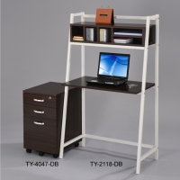 Computer Racks / File Cabinet