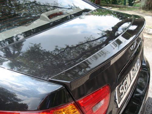 Grille & Rear Guards