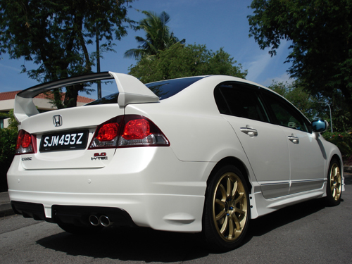 Grille & Rear Guards