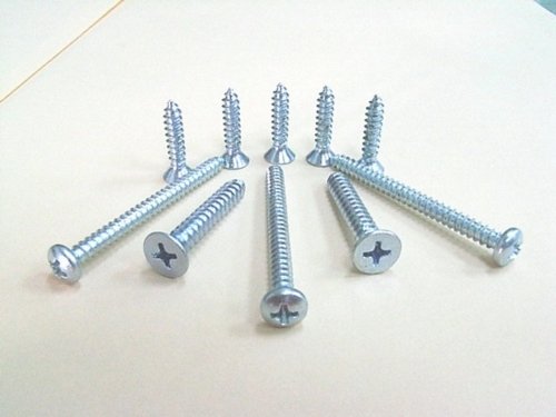 Self Tapping Screw Self Tapping Screw