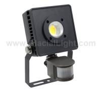 LED Flood Light