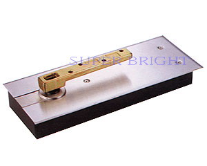 Door Spring Door Spring