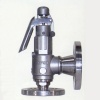 Stainless Steel Safety Valves