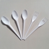 Disposable Fork & Spoon