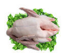Meat of goose, whole