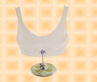 Free-Hanging Transparent D-cup Breast Form With Stand