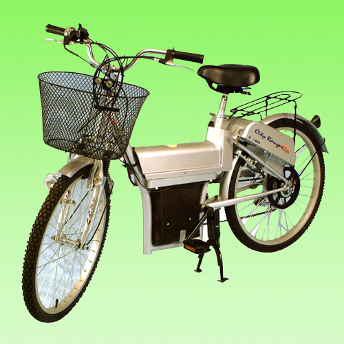 City Ranger City Ranger