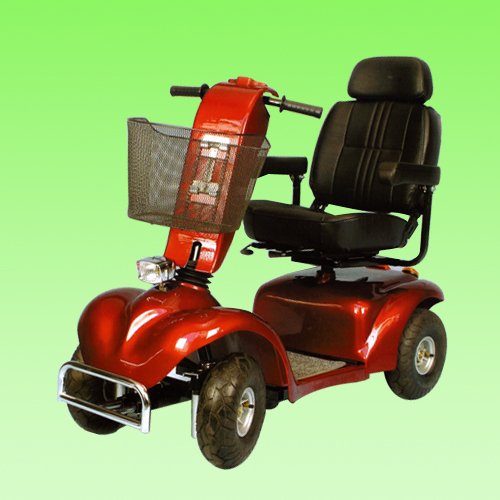 City Ranger City Ranger