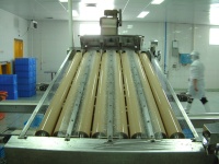 Shrimp grading machine