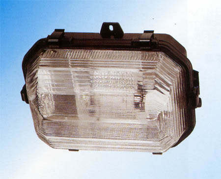 Ceiling Light