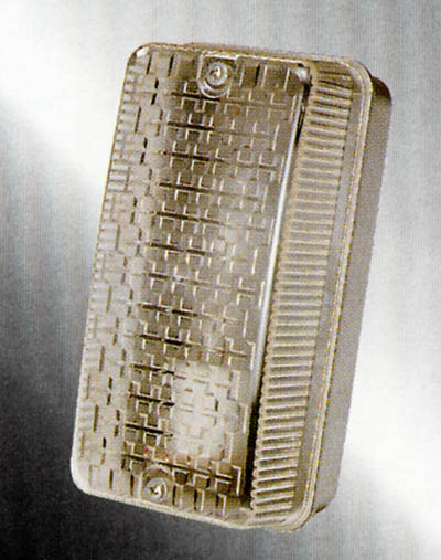 Roadway Light