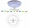 Ceiling Light & Auto Sensor