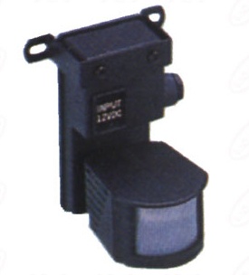 CCD Camera and Mini PIR Sensor & Lighting