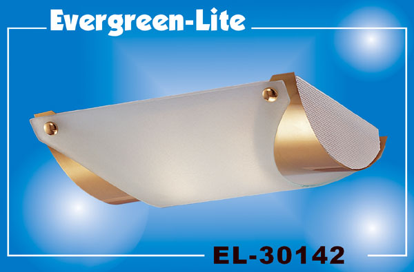 LIGHTING FIXTURES LIGHTING FIXTURES