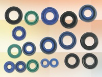 Oil seals