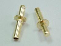 Brass flange rivets