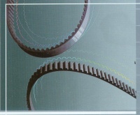 SYNCHRONOUS BELTS /
TIMING BELTS