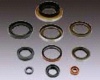 Oil seals