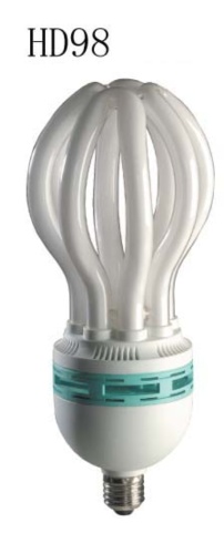 Compact Fluorescent Lamps