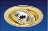 Downlight