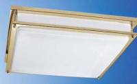 Ceiling Mounts