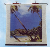 Car sunshades with picture