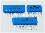 Ceramic Capacitor Network Ceramic Capacitor Network