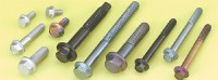 Alloy Steel Screws, Trim Hex Flange Screws, Auto Screws