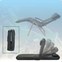 Leisure / Reclining Chairs Leisure / Reclining Chairs