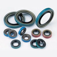 Oil Seal