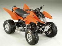 New 100cc ATV