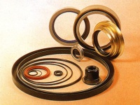 Oil Seals Oil Seals