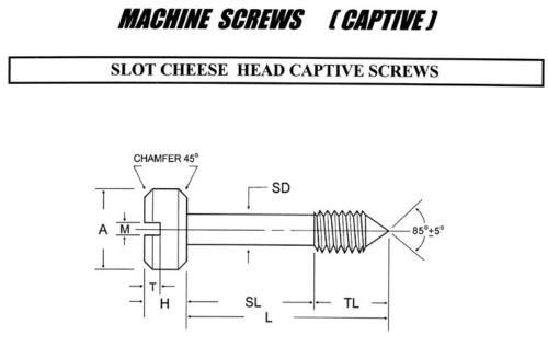 MACHINE SCREWS(CAPTIVE)