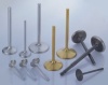 High Performance / Racing engine valves